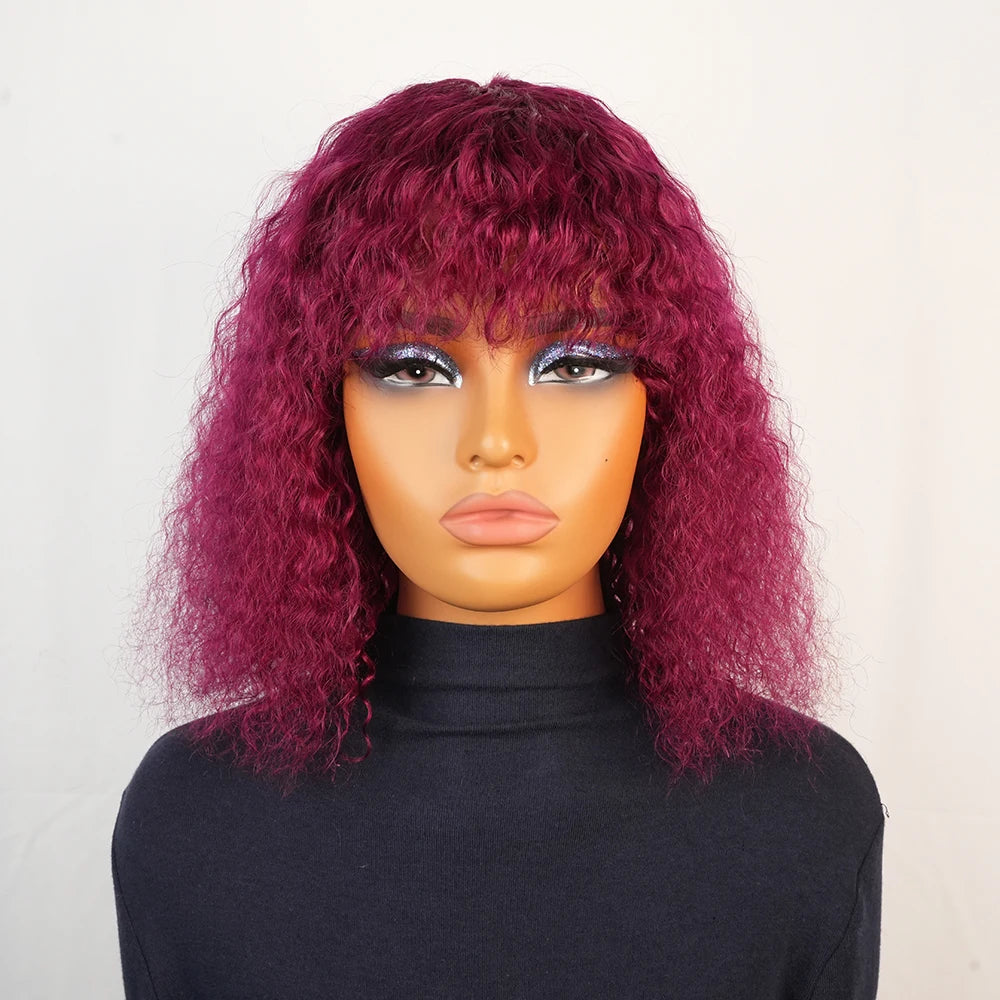Kinky Curly Human Hair Wig