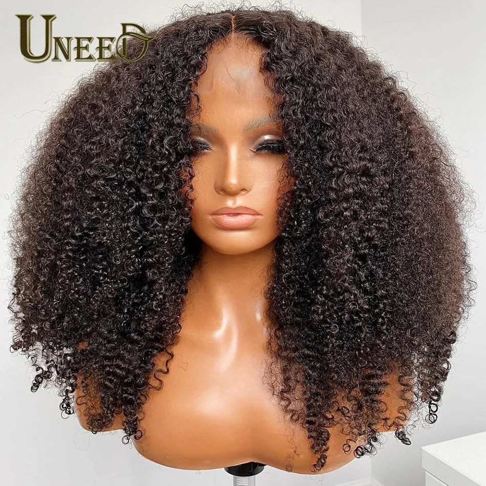 Kinky Curly Wig 13x4 Human Hair