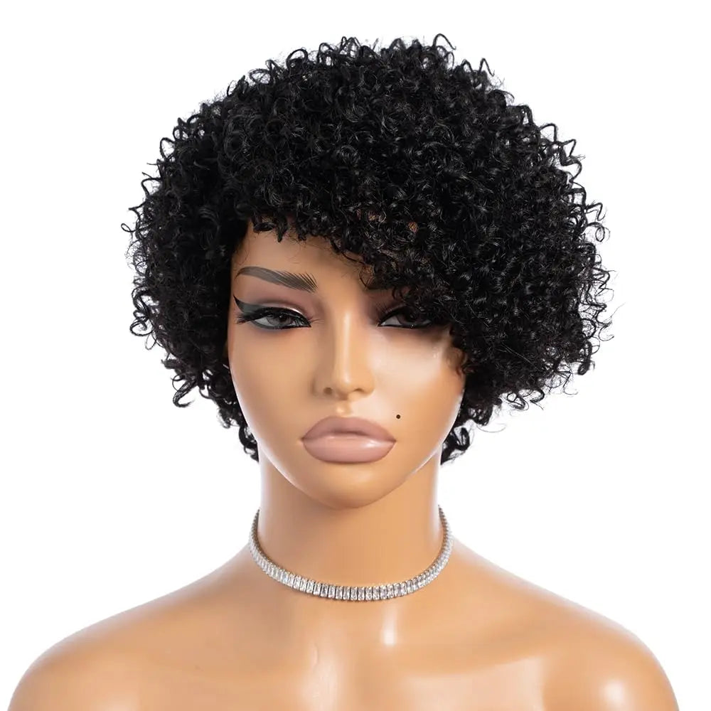 Kinky Curly Wigs Human Hair