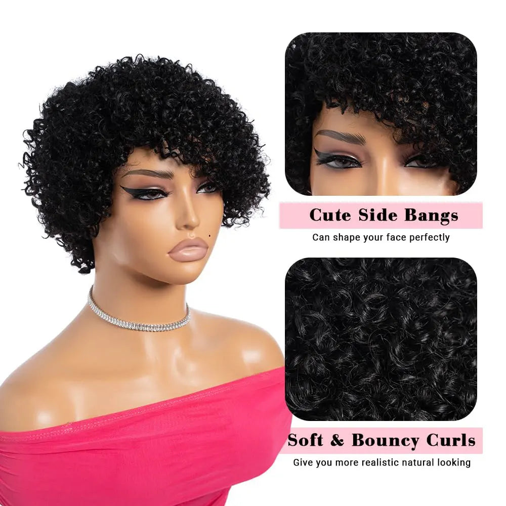 Kinky Curly Wigs Human Hair