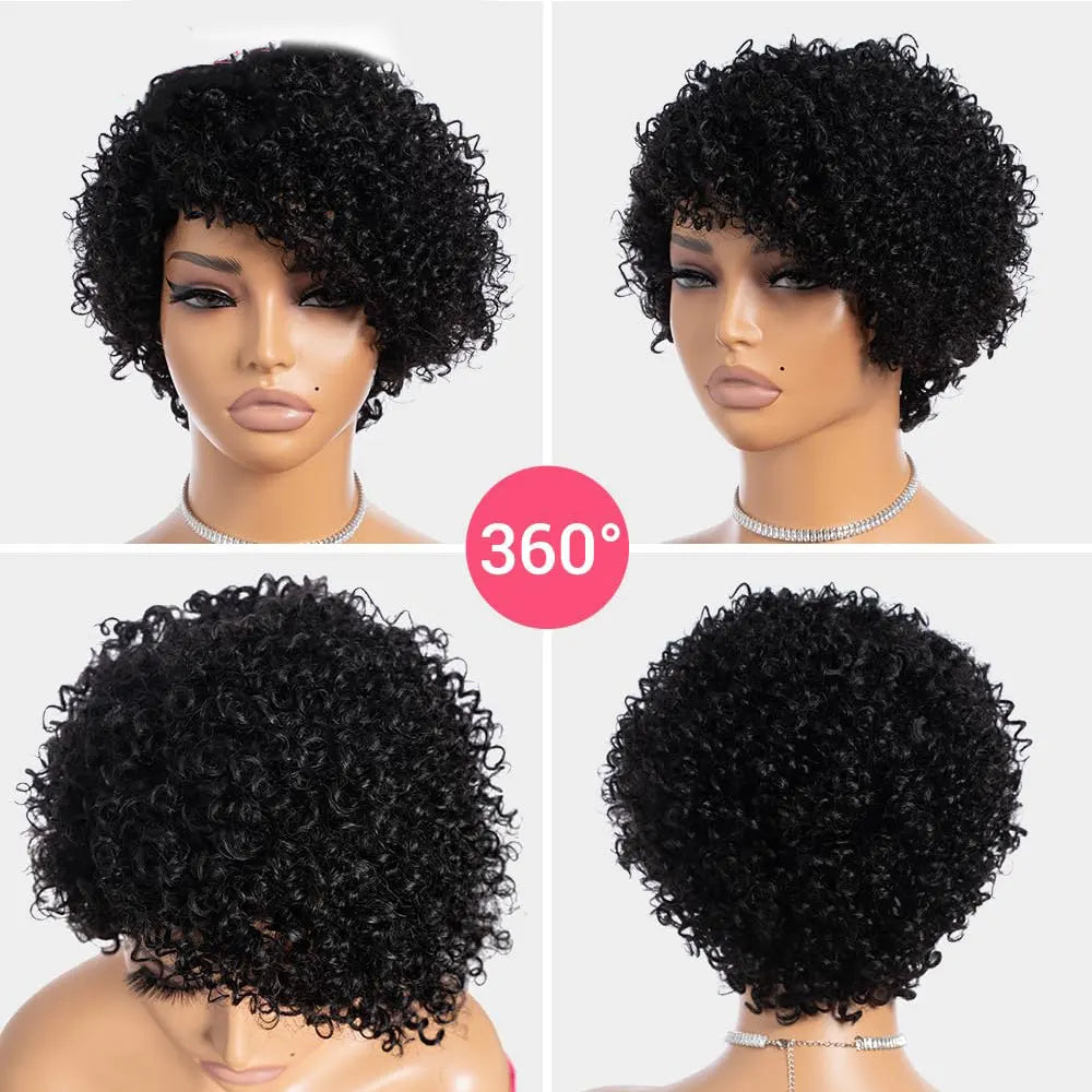 Kinky Curly Wigs Human Hair