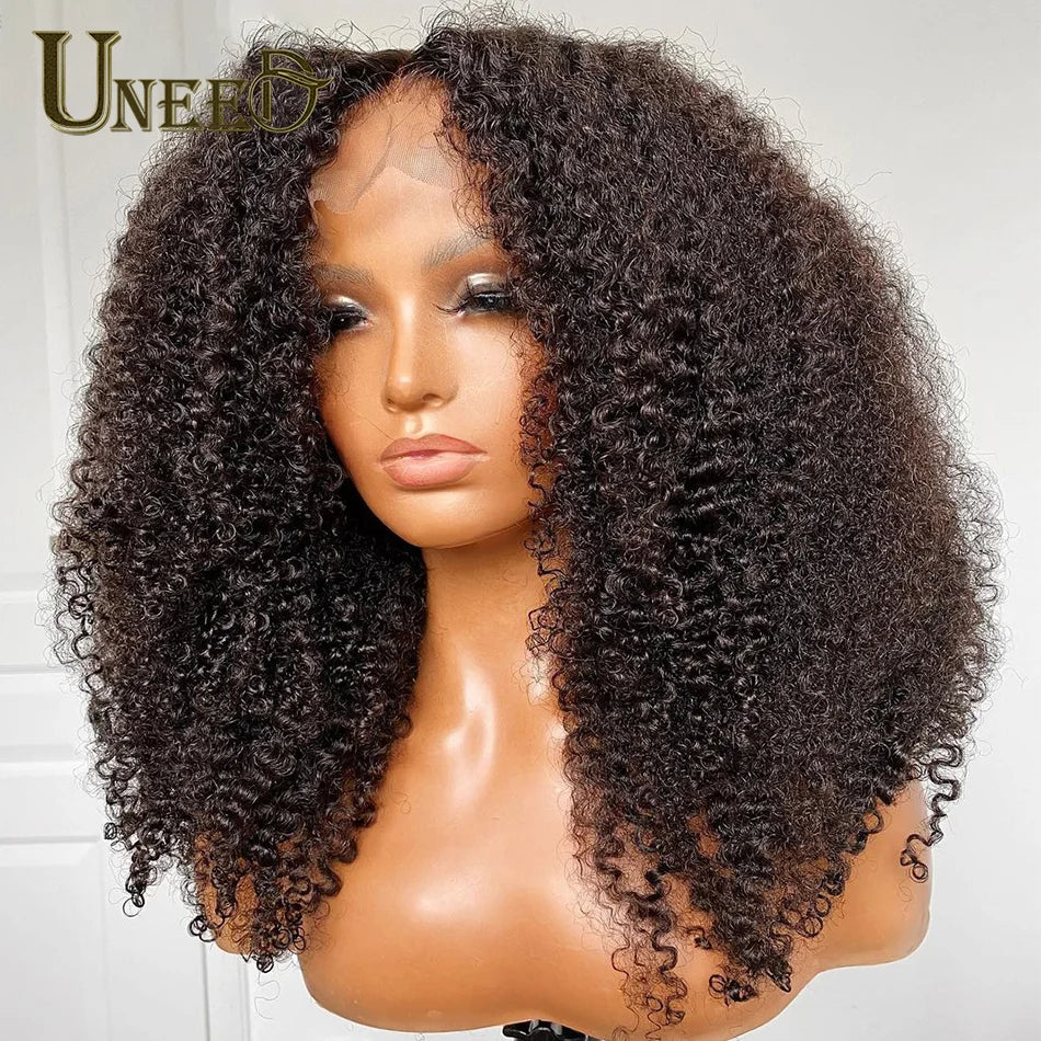 Kinky Curly Wig 13x4 Human Hair