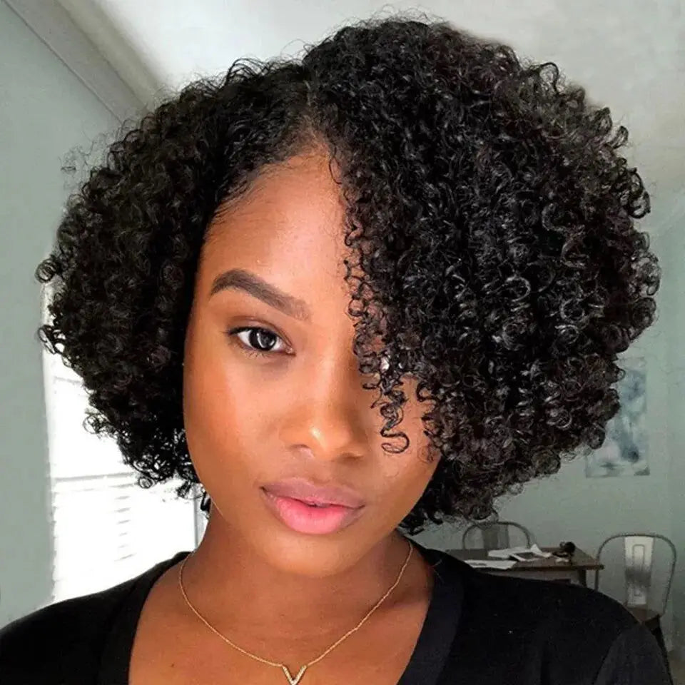 Kinky Curly Wigs Human Hair