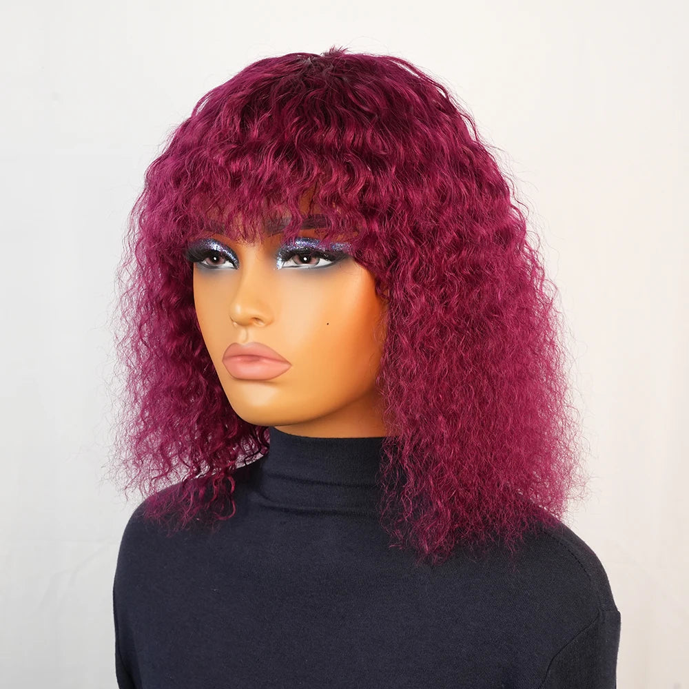 Kinky Curly Human Hair Wig