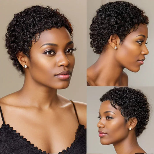 Kinky Curly Human Hair Wigs For Women
