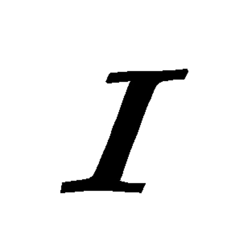 Large Letter Earring