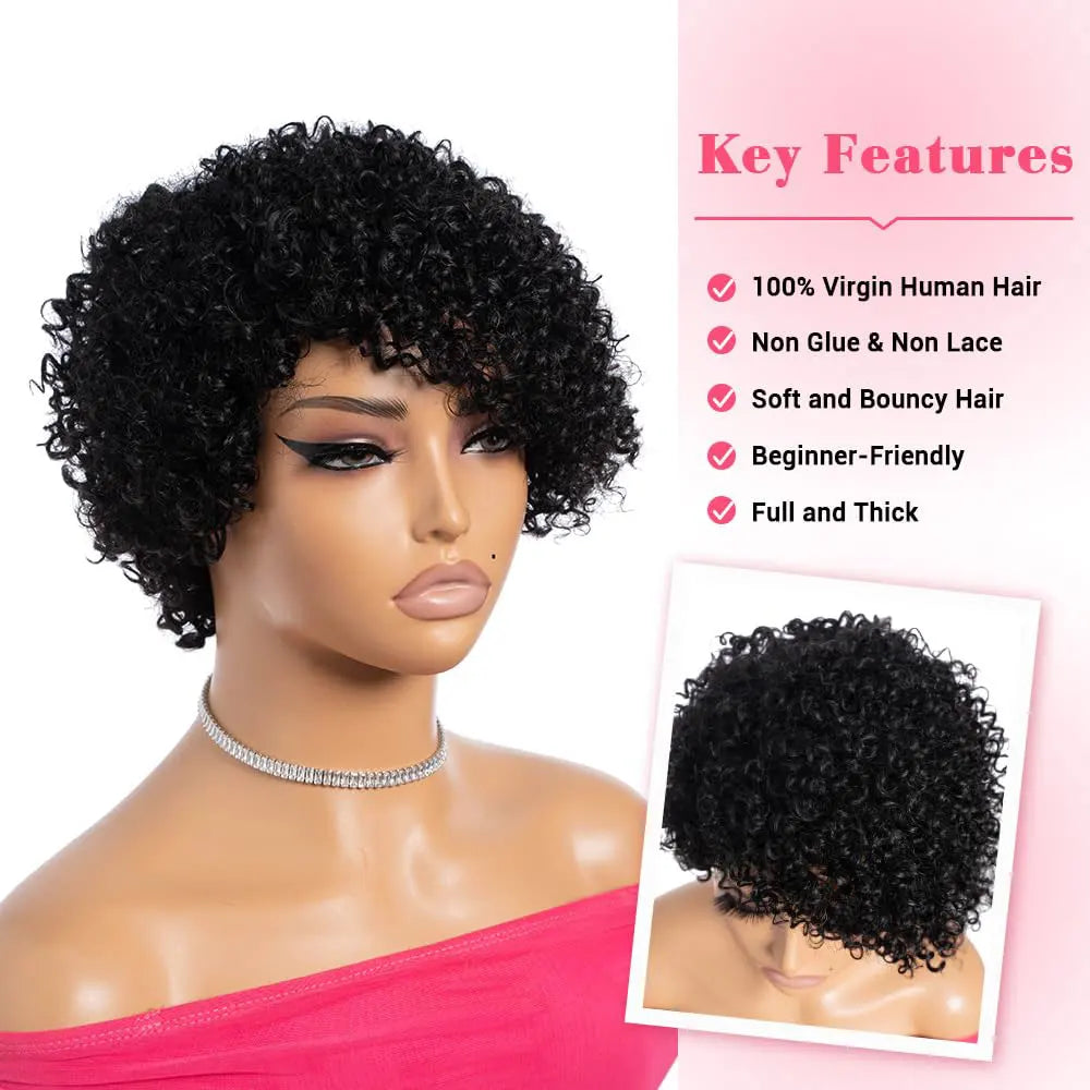 Kinky Curly Wigs Human Hair